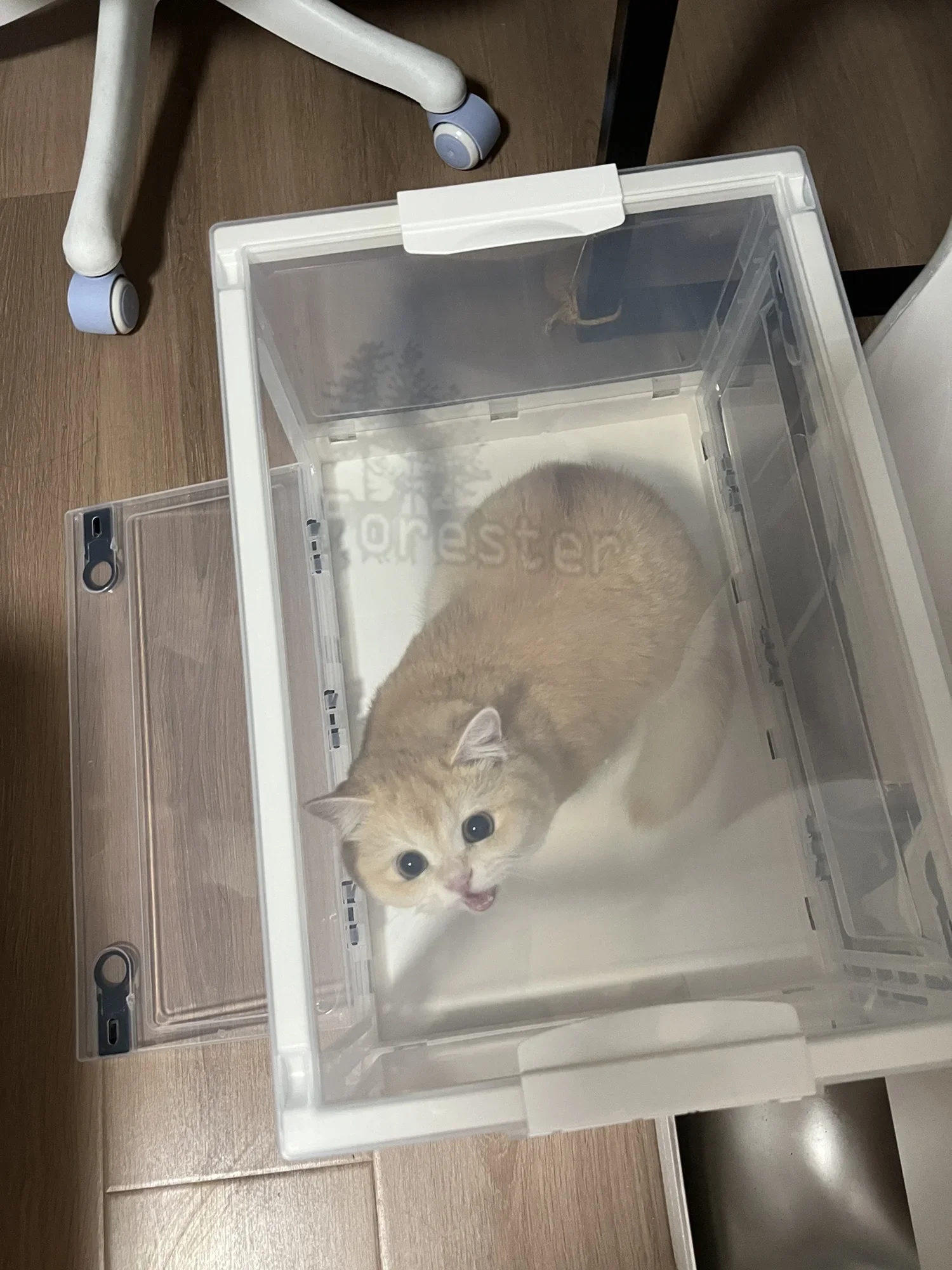 Portable Atomization Nest Foldable Pet Nebulizer Box - Portable Oxygen ...