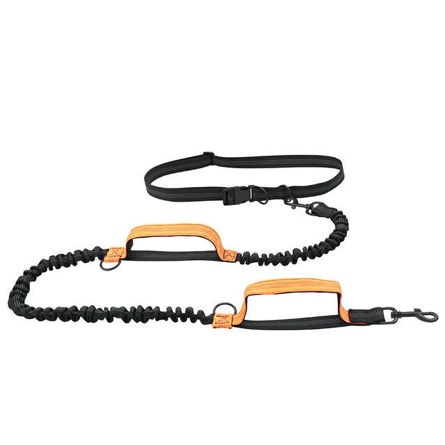 Retractable Hands Free Dog Leash For Running Double Handles Elastic Cord Reflective Large Dog Leash Pet Supplies 5