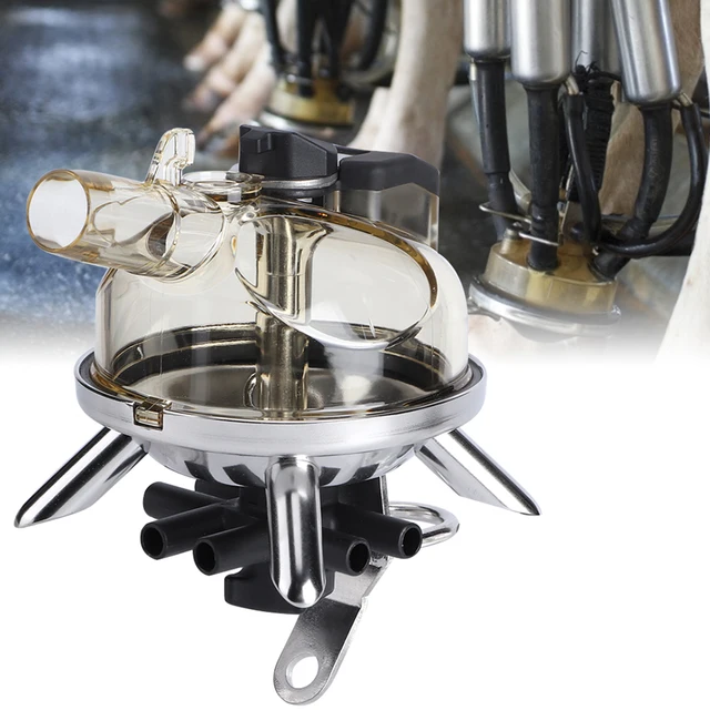 Collettore Per Mungitrice 300cc - Accessorio Per Mungitura Di Mucche E Capre, Senza Valvola - Foto 11