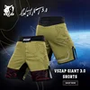 VSZAP Integrated Stand Combat MMA Giant Training Shorts Kickboxing Fitness Competition Thai Boxing Quick Dry Pants 2