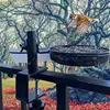 Bird Feeder For Deck Railing Deck Mounted Bird Feeder With Mesh Tray 360-Degree Rotatable Feeding Station Flower Pot Stand For