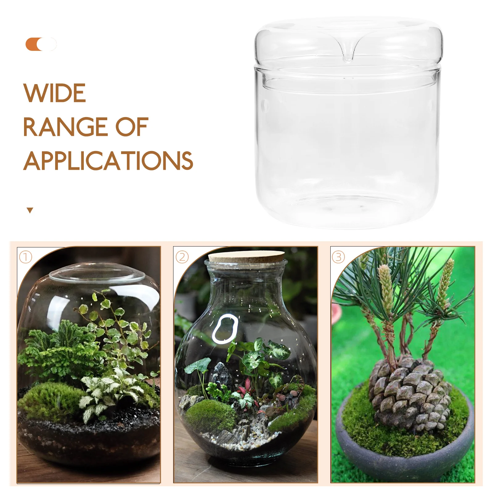 Glass Terrarium Mini Landscape Ecosystem Moss Plant Vase Bottle Planter Container Decor Home Office Garden Patios Creative Gifts 3