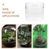 Glass Terrarium Mini Landscape Ecosystem Moss Plant Vase Bottle Planter Container Decor Home Office Garden Patios Creative Gifts 3
