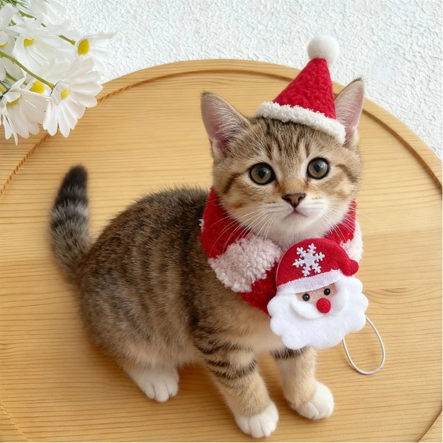 Pet Christmas Scarf Thick Cat Scarf Red Christmas Hat Old Man Dog Water Scarf Large Dog Set Wool Warm Scarf Santa's Hat Cat