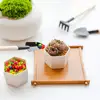 Gardening Tools Three-Piece Set Mini Garden Tools Multi-Function Shovel Harrow Shovel Household Plant Pine Soil Shovel 5