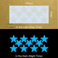 4cm 11 stars BE