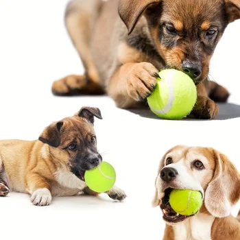 12 packs of small dog tennis balls, pet toys for playing and training 4