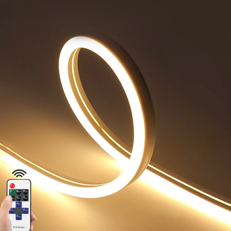 DC12V LED Flexible Silicone Neon Light LED Strip RF Remote Control Night Light Rope Tube Lamp Shape automobile Decor 120LEDs/M