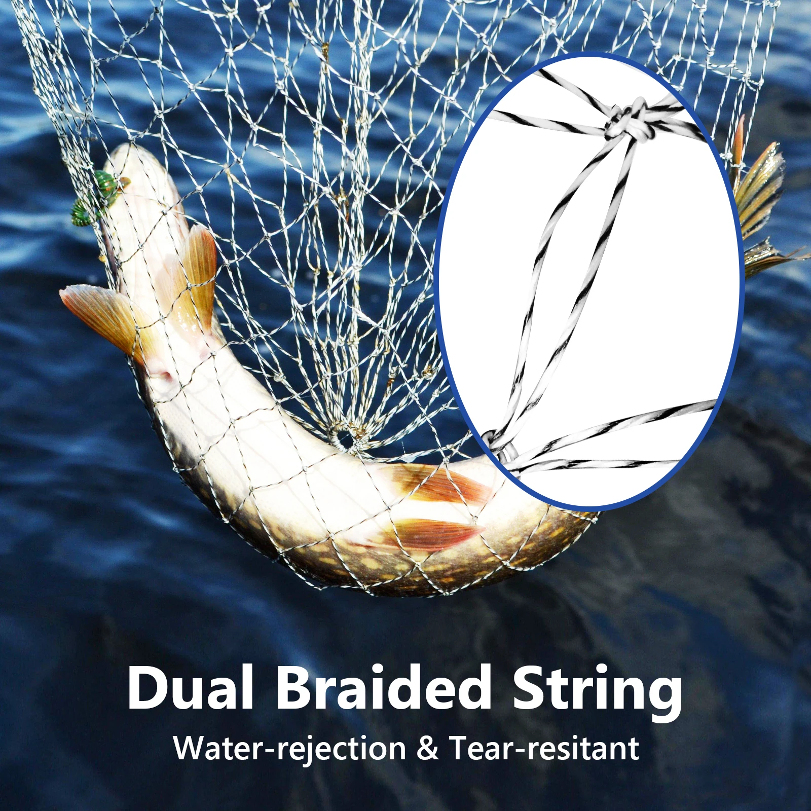 best prices on fishing poles Eacam Fishing Rod and Reel Combo, 6.89ft/2.1m Telescopic Fishing Pole with  Right-Hand Retrieve, Portable Travel Fishing Pole Combo for Youth Adults  Beginner: Buy Online at Best Price in UAE