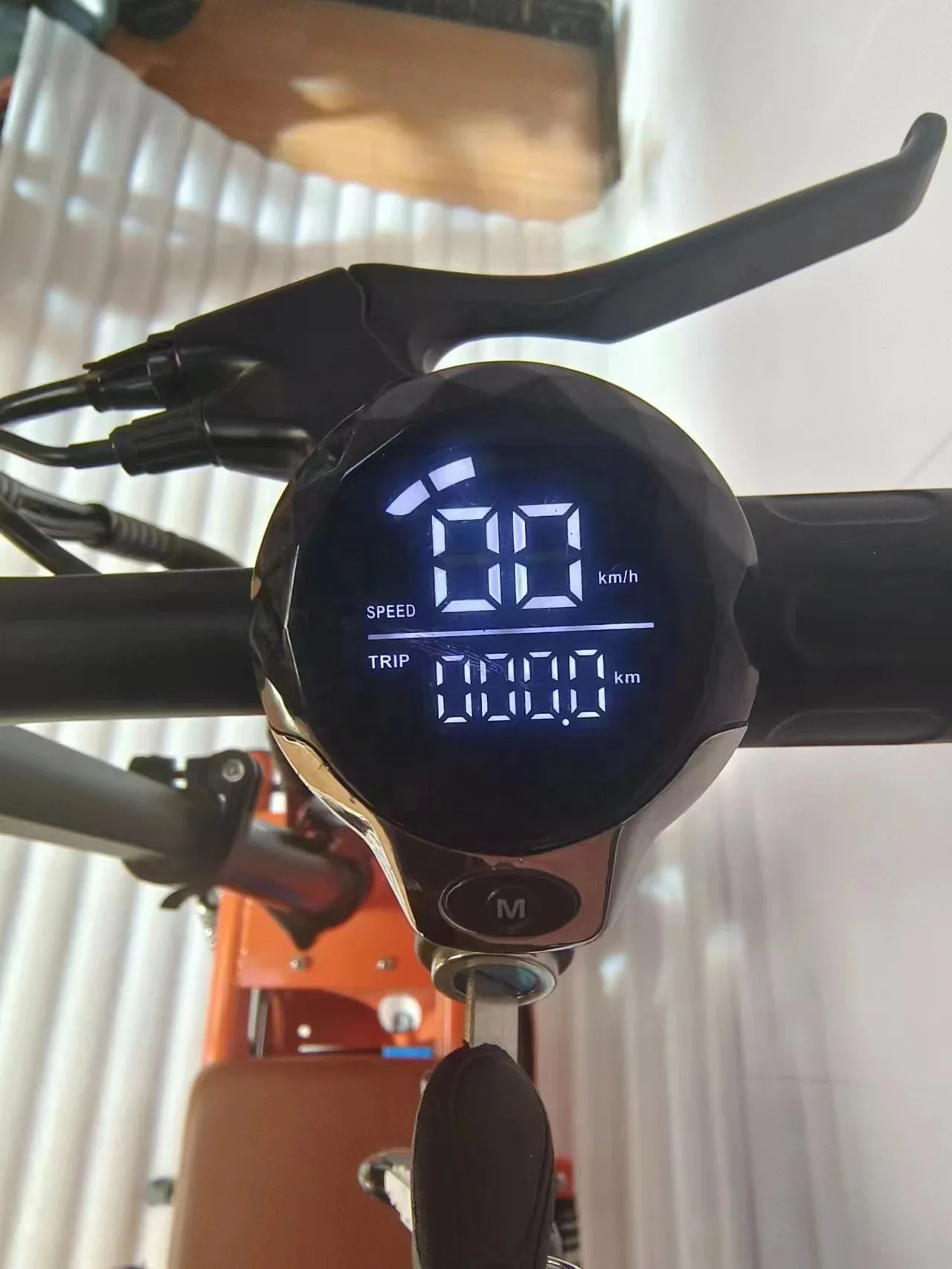 Langlebiger 12-Zoll-Elektro-Miniroller für Hunde, Lastenfahrrad, große Aufbewahrungsträger mit großer Kapazität, 350 W, 48 V, 10 Ah, 15 Ah, 20 Ah, auf Lager 6