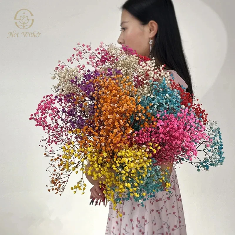 

300g Natural Dried Baby Braath Flowers Mixed Color Gypsophila Wedding Decoration Bridal Bouquets Valentine's Day Gift Paniculata