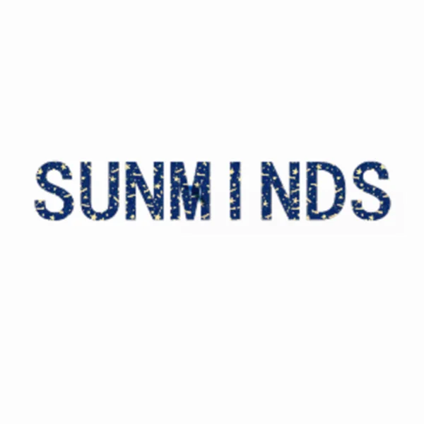 SUNMINDS Electronic Store