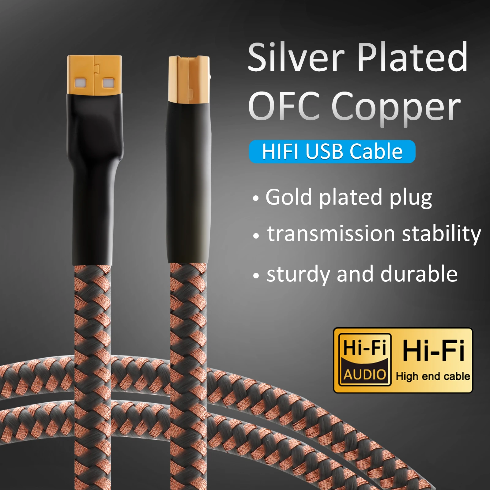 Cavo Usb Accuphase Hi-End Cavo Dac Audio Digitale Da Usb2.0 A A B, Cavo Usb 2.0 Professionale Cavo Audio Usb Per Giradischi