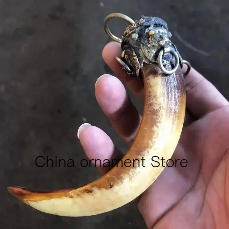 

5" Collect Old Wild Boar Teeth Mosaic Tibetan Silver Lion Pendants