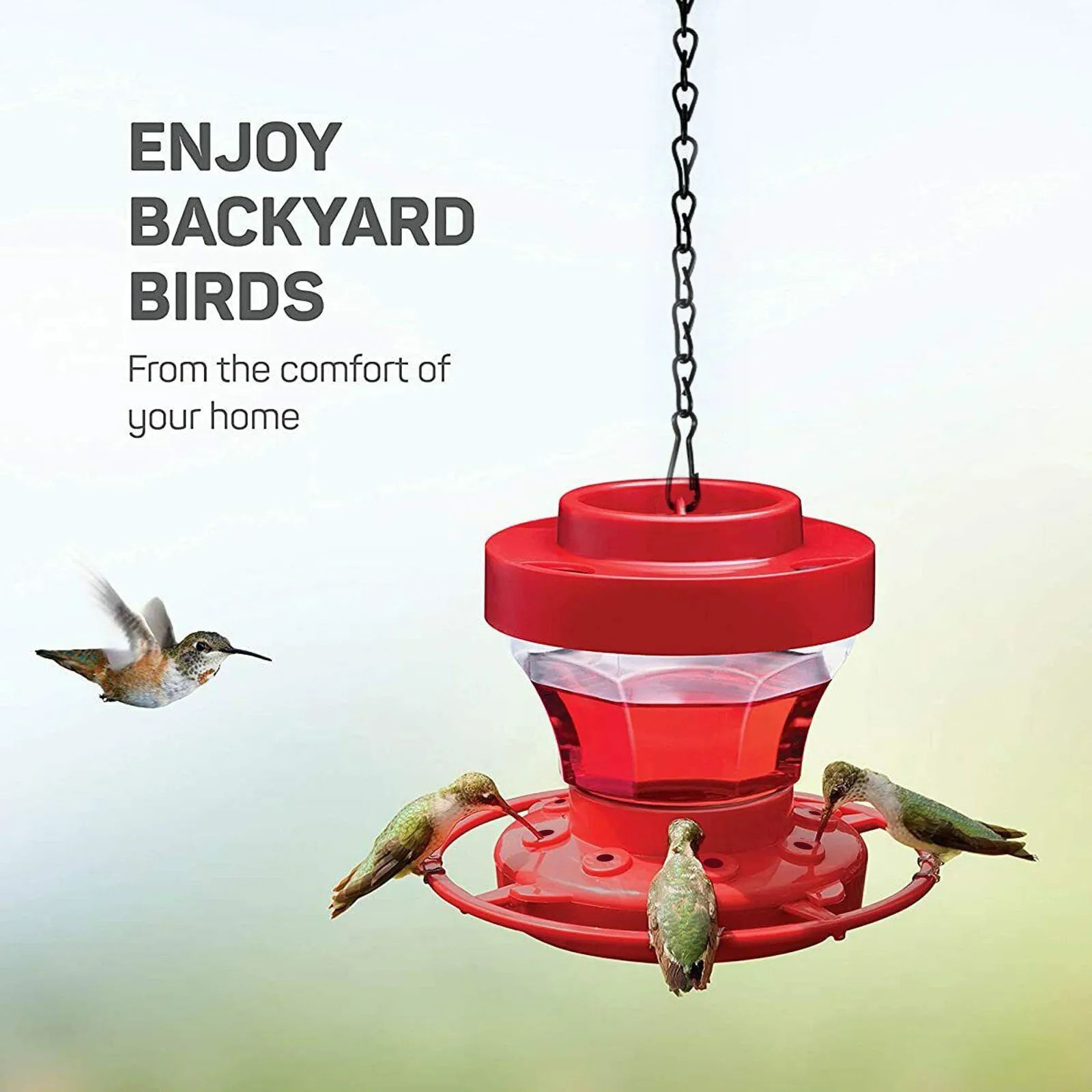Hummingbird Feeder With Ant Moat And Bee Guard For Small Birds Birds Food