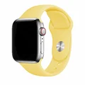 Canary Yellow
