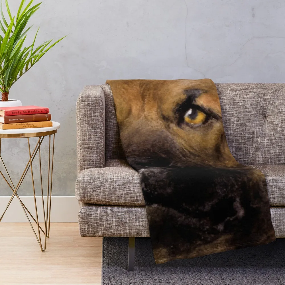 �� ǰ�� ��������, �׸� üũ ���� �ö��� ��ȭ �ö��� ������ ���