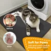 Cat Litter Mat Non Slip Big Pet Litter Box Filter Mat Double Layer Wear Resistant Waterproof Cat Litter Mat Pet Clean Supplies 5
