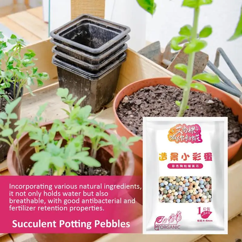 Succulent Potting Pebbles Decorative Sand For Plants Universal Granular  Fertilizer Matte Texture DIY Projects Rocks Mixed Color - AliExpress