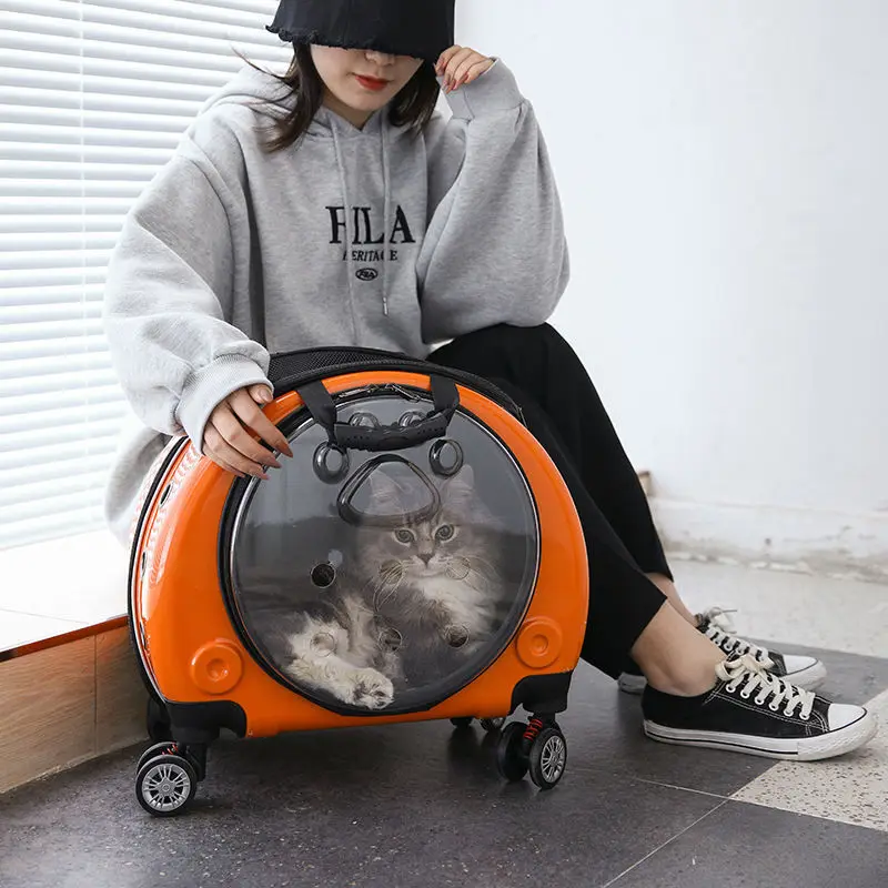 

Pet Trolley Case Transparent Cat Bag Out Portable Large Capacity Space Capsule Dog Cat Backpack Portable Suitcase Cat Carrier