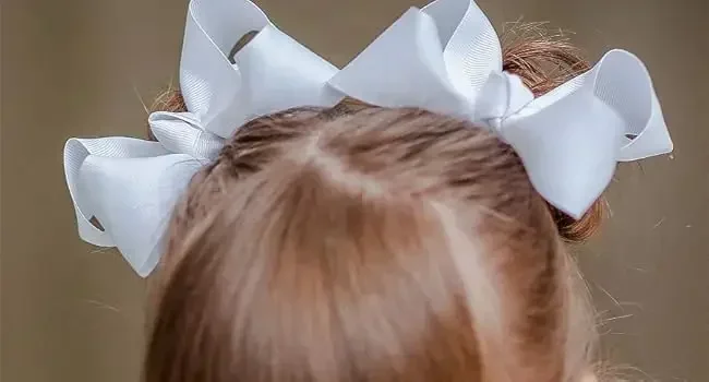 school bows