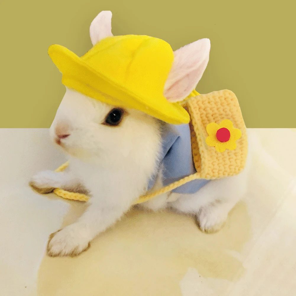 Cute Bunny Small Pet Vest Accessories Outdoor Leash Rabbit Clothes Hat Harness Strap Leash Dress Clothes for Guinea Pig _ - AliExpress Mobile