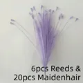 Style 3 Purple