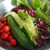 Circulating Water Chestnut Portulaca Ormosia Washer Conveyor Tremella Fruit Vegetables Clean Washing Machine 4