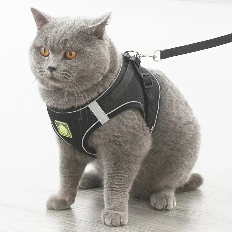 Reflective Dog Harness and Leash Set for Dogs 5