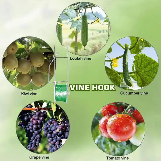 Paradicsomhörhorog 10Db Szőlőhorgok 20 Klipekkel Paradicsom Tartóhorgok 15 Méteres Zsineggel Az Üvegházhatású Kert Hegymászáshoz - Image 3