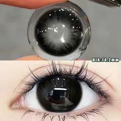 Big Eyes Black Beauty Lenses - Natural 1 - Day Wear (Day Gugu Black)