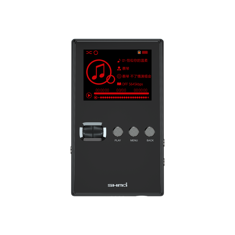 Lossless HIFI Music Player MP3 Support DSD256 Lossless Decoding CUE Split Track Playback Music Walkman 128G TF Card Expansion