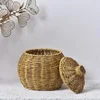 Hand-woven Oval Pumpkin Basket Desktop Sundries Storage Jar Lid Imitation Rattan Retro Storage Wicker Basket Plant Flower Basket 6