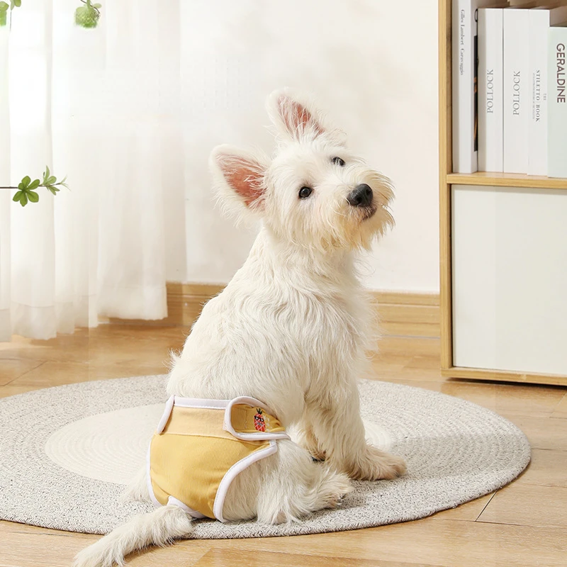 Dog Menstrual Pad Holder Breathable Dog Period Pads Panties for Small-medium Dogs Feminine Pet Menstrual Pants for Female