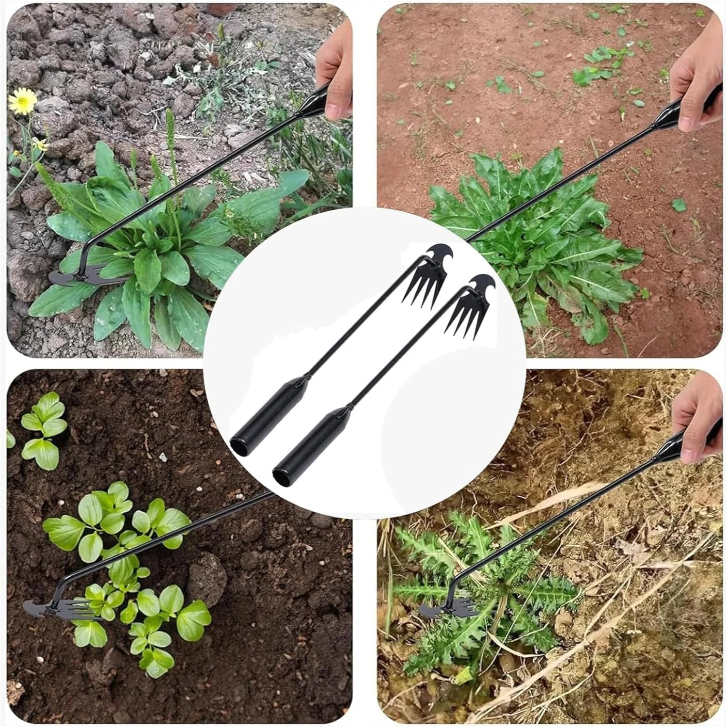Enhance your gardening experience with these delightful and high-quality products designed to make your outdoor oasis even more