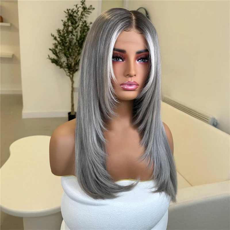 Natural Women Wigs Dark Gray Color with Small Thin Highlights Lace Front Wigs 13x4 Glueless Silky Straight Synthetic