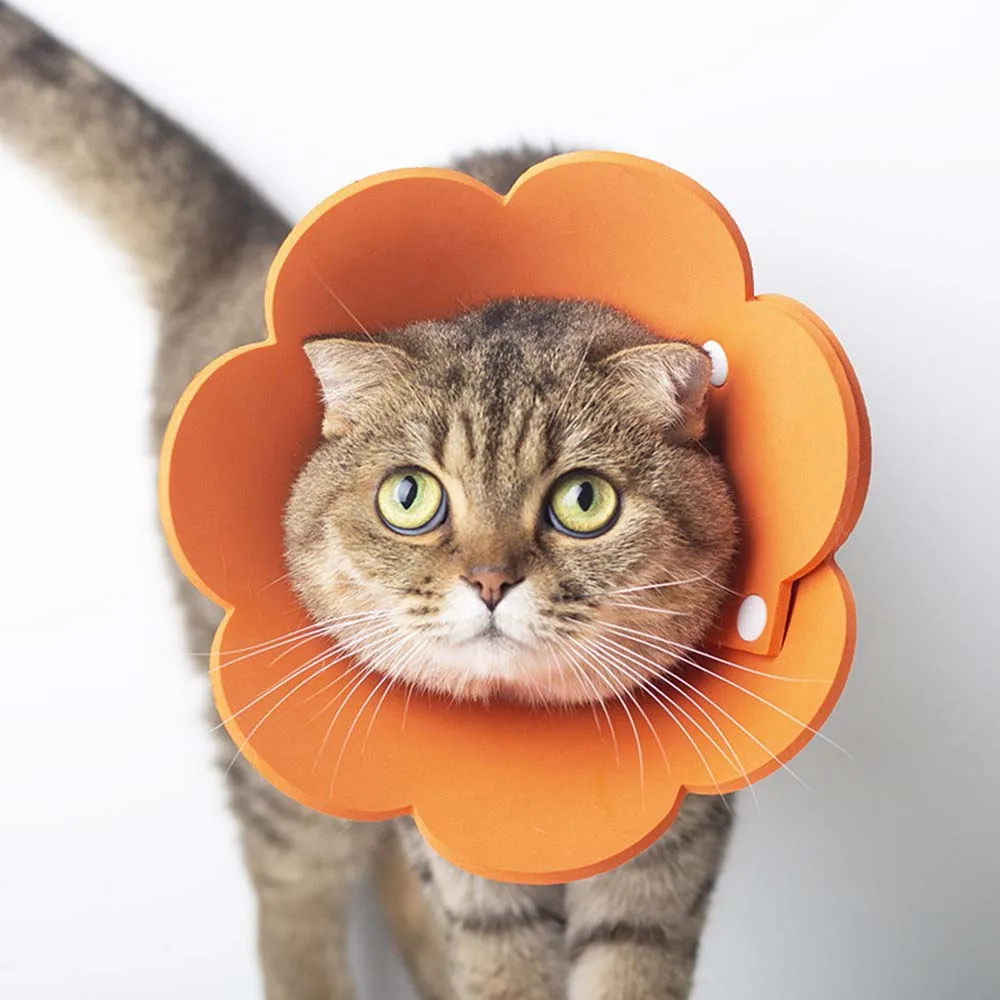 Adorable Pet Recovery Collars – Protective Anti-Bite Healing Cones