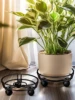 26589-61e53c.jpg Iron Plant Stand Premium Heavy-Duty Black Wrought-Iron Round Pot Holder Corner Garden