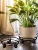Iron Plant Stand Premium Heavy-Duty Black Wrought-Iron Round Pot Holder Corner Garden