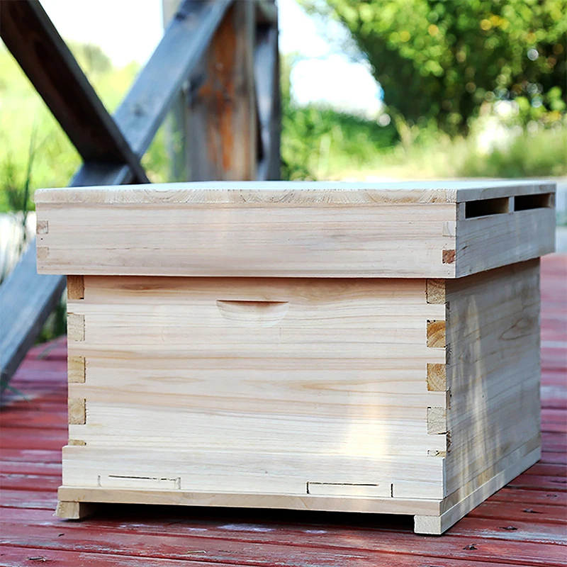 10Pcs DIY Yellow Honeycomb Foundation Bee Hive Wax Frames Beekeeping Equipment Sheet Beekeeping Tools
