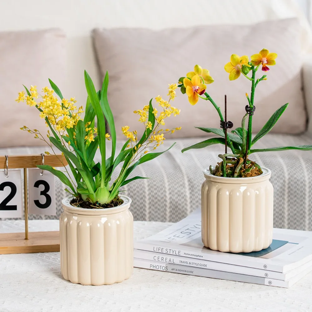 Indoor Mini Self-Watering Succulent Planter Vase - Stylish Home & Office Decor