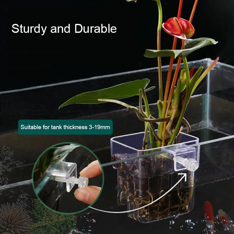Porta Piante Per Acquario - 2 Pezzi Con Ganci E Ventose, Per Aquascaping E Decorazioni - Foto 4