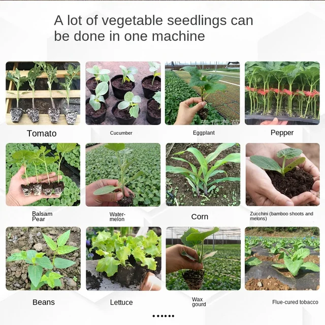 Vetőmag Ültetés Növényi Bors Palánta Transzplanter Kukorica Fa Növény Átültetés Műtrágya Mezőgazdasági Kézi Tartott Szerszám - Image 2