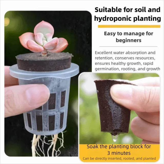 Plastic hydroponic seed planting pot - transparent and durable gardening seedling cup - reusable cup for observing plant roots 4