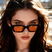 Lunettes de soleil vintage à monture rectangulaire pour femmes, 2/3 pièces, design de marque de luxe rétro, verres UV400, lunettes de soleil pour hommes 4