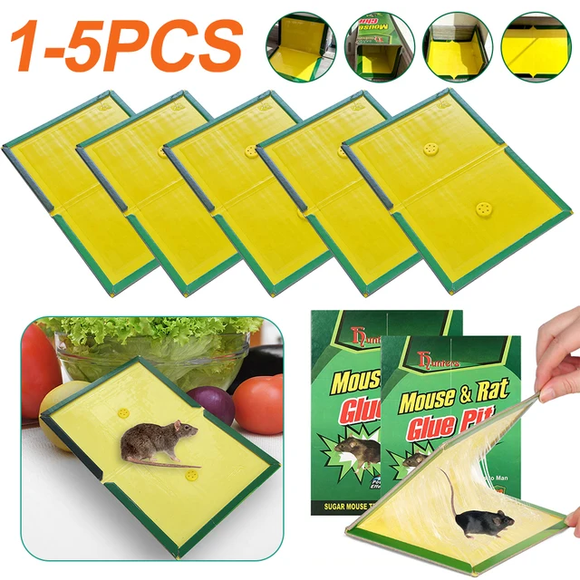 1-5 Darabos Egér Tábla Bot Kártevőirtás Elutasítja Az Gyilkos Patkánycsapdáit Beltéri Szabadban Történő Használatához