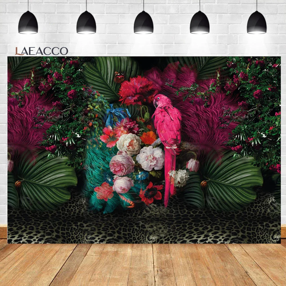 Laeacco- Ƽ  , 븲    ĸ     