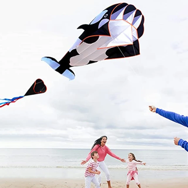 3D Software Easy to Fly Children's and Adult KLites Giant Frameless Soft  Umbrella Giant Black Dolphin Orca Breeze Kite - AliExpress