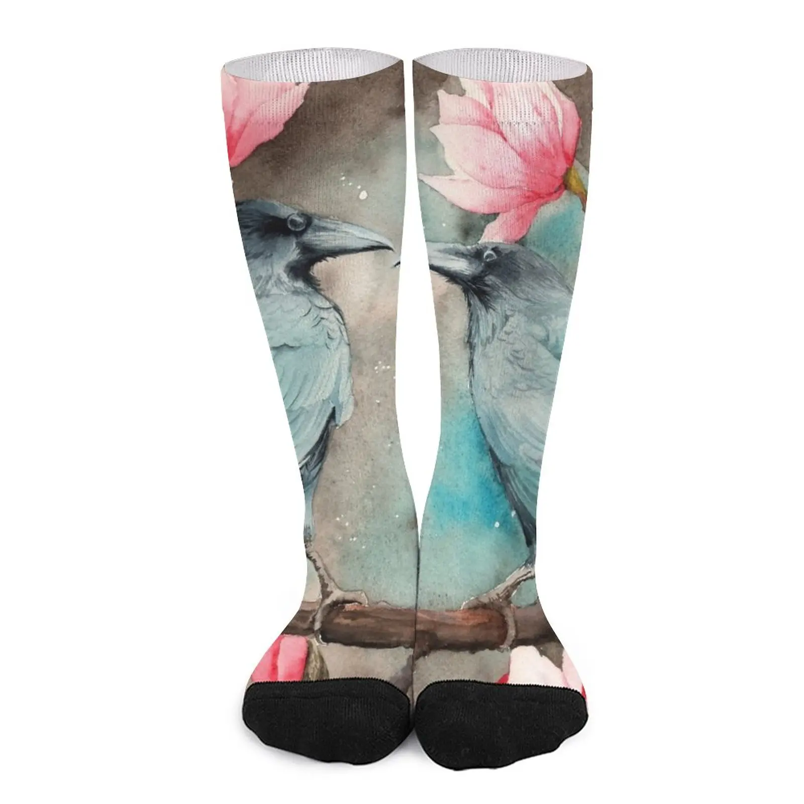 Watercolor picture of two ravens on the magnolia Socks Sports socks cartoon socks letterfun picture flashcards