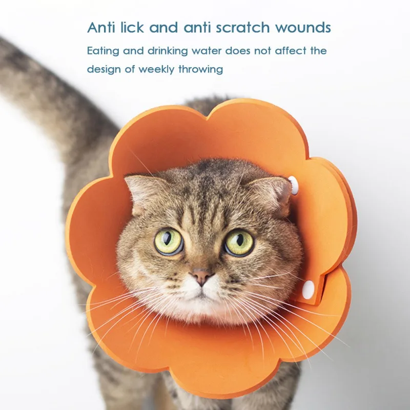 Title 12, Flower Shaped Elizabethan Cat Recovery Collar C...